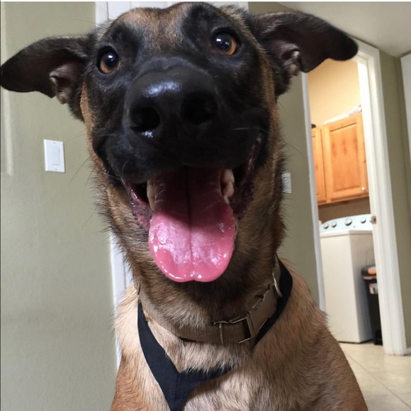 Meet your Posher, Rena - Picture 1 of 2